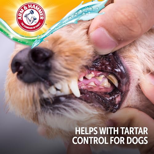 Arm & Hammer dental para perros, limpieza suave con bicarbonato.