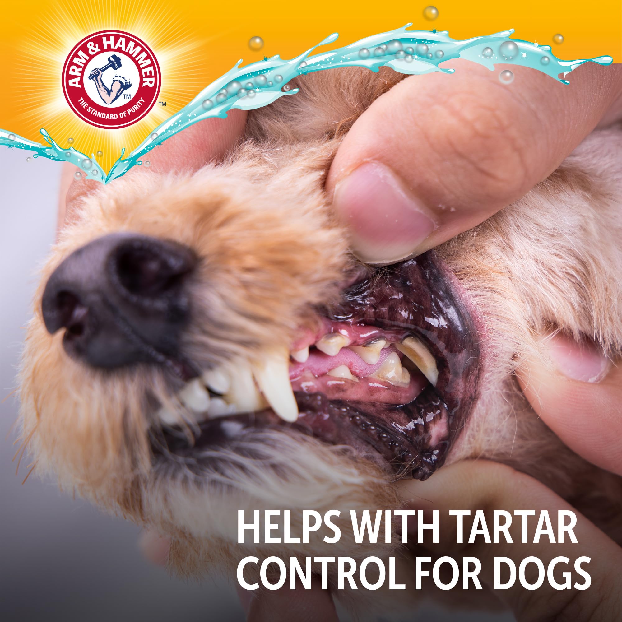 Arm & Hammer aditivo dental para perros; rápida preparación en cuenco de agua.