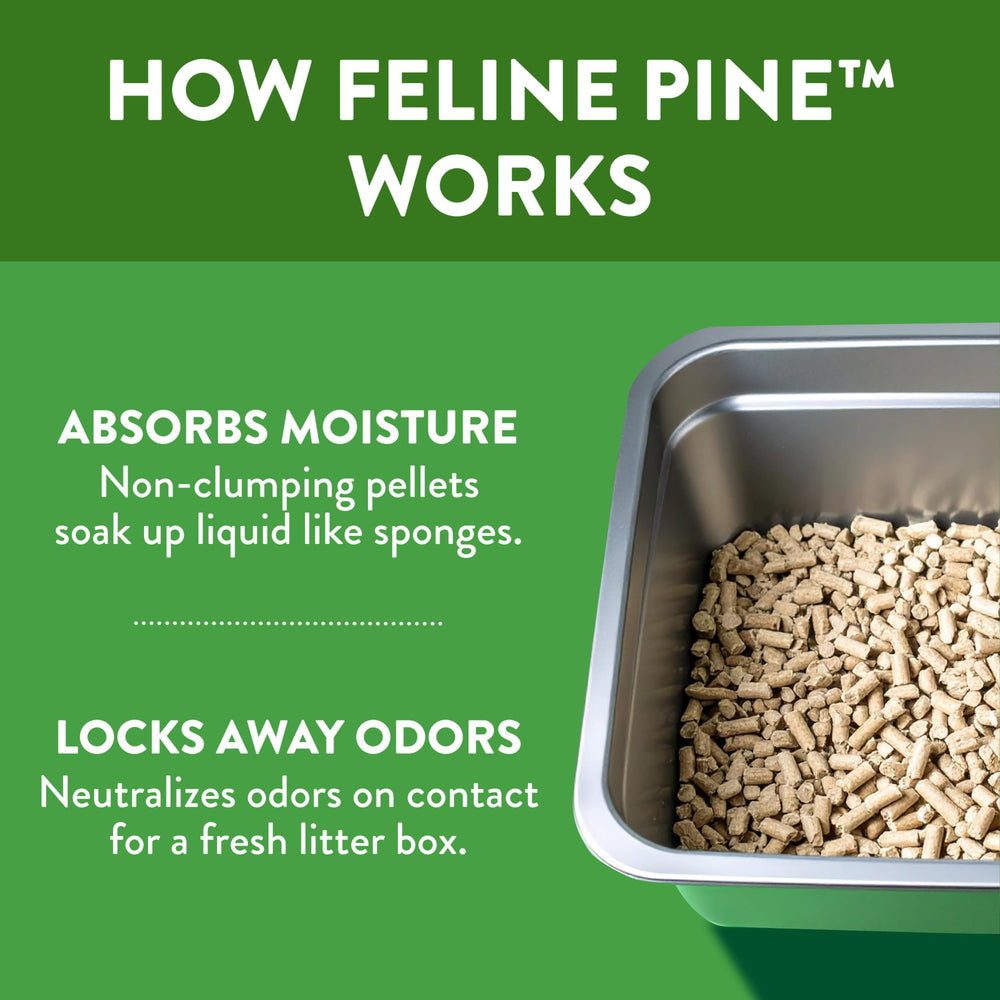 Arm & Hammer Feline Pine Platinum, alta absorción de líquidos