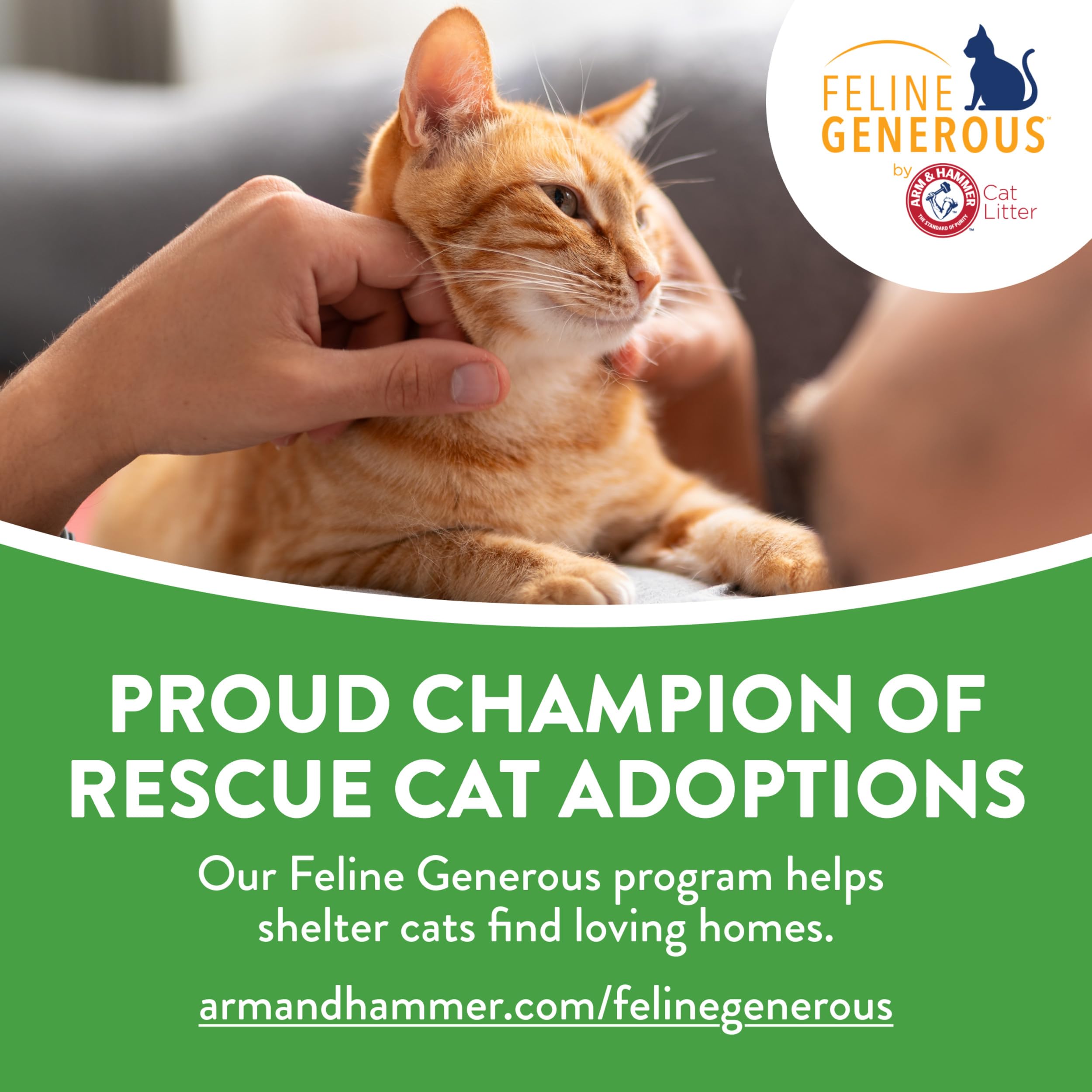 Arm & Hammer Feline Pine Platinum, pino natural de madera recuperada