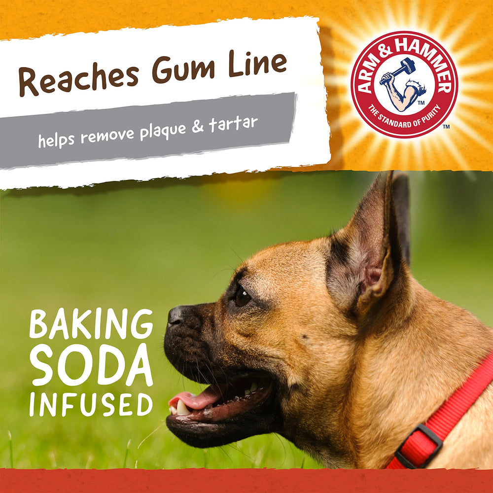 Arm & Hammer juguete dental para perros: estimula encías con masticación