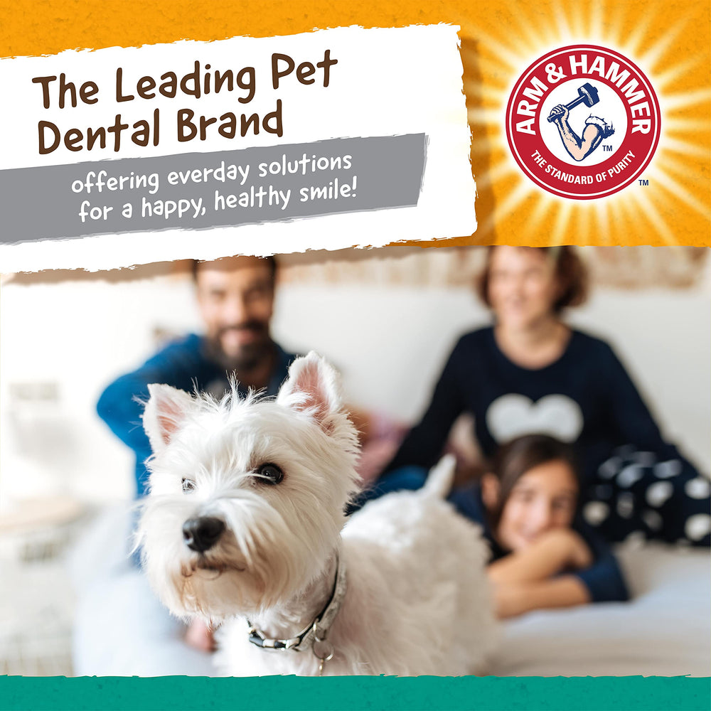 Arm & Hammer Nubbies TBone: opción de juego diario y cuidado bucal en casa