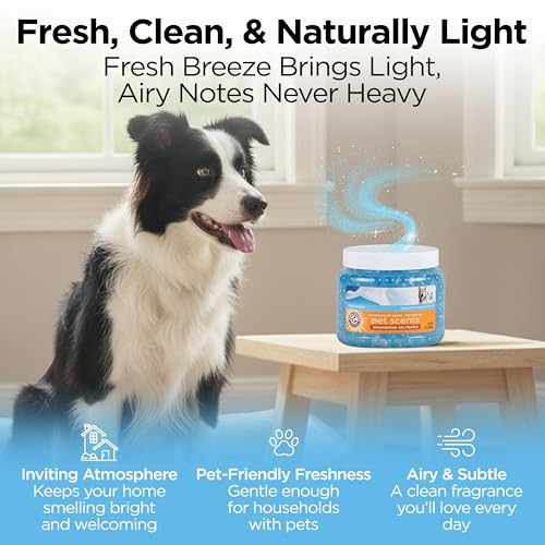 Arm & Hammer para áreas pequeñas del hogar