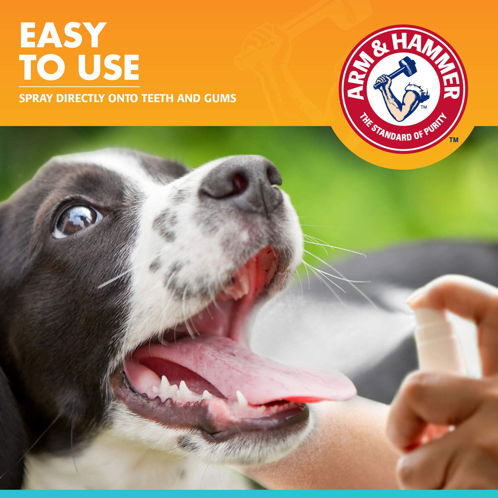 Arm & Hammer para Mascotas: aplicación en dientes y encías para higiene diaria.