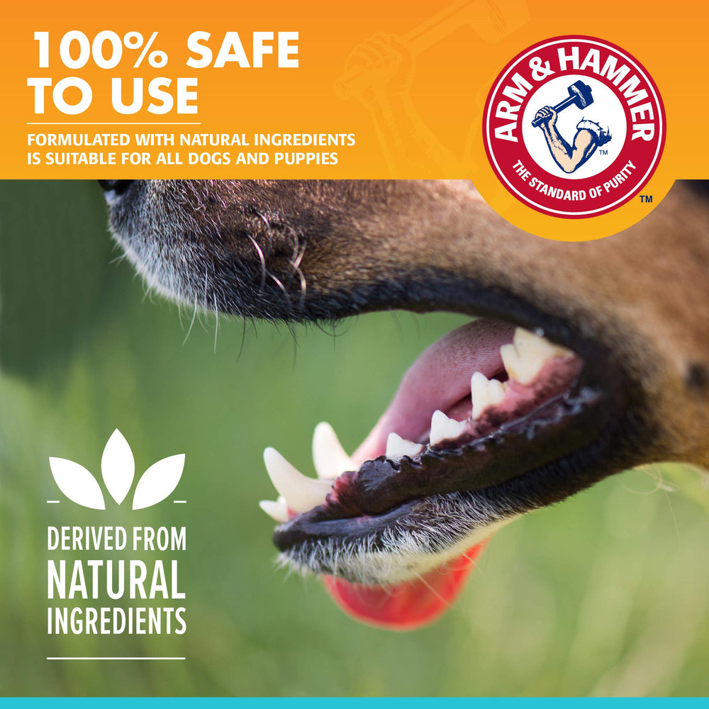 Arm & Hammer para mascotas: cepillado diario suave para cuidado dental en casa