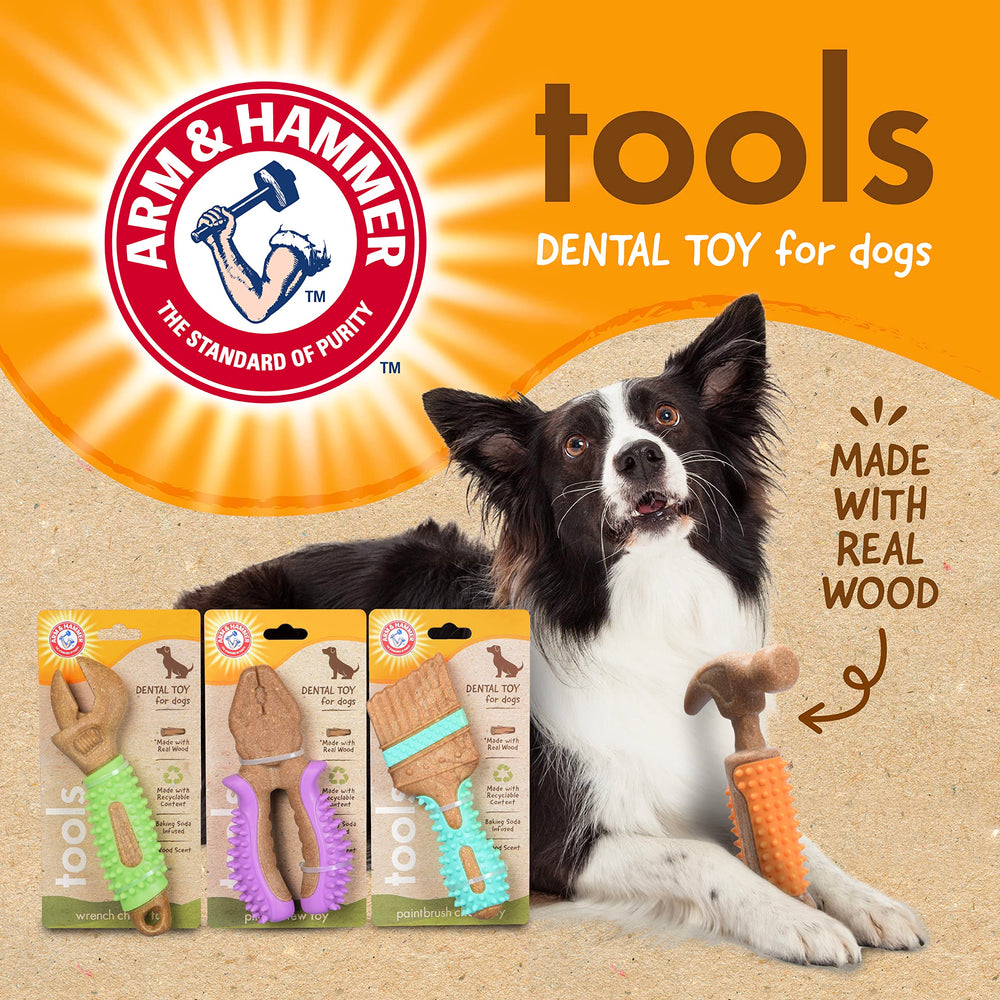 Arm & Hammer para mascotas: juego responsable y seguro para tu perro.
