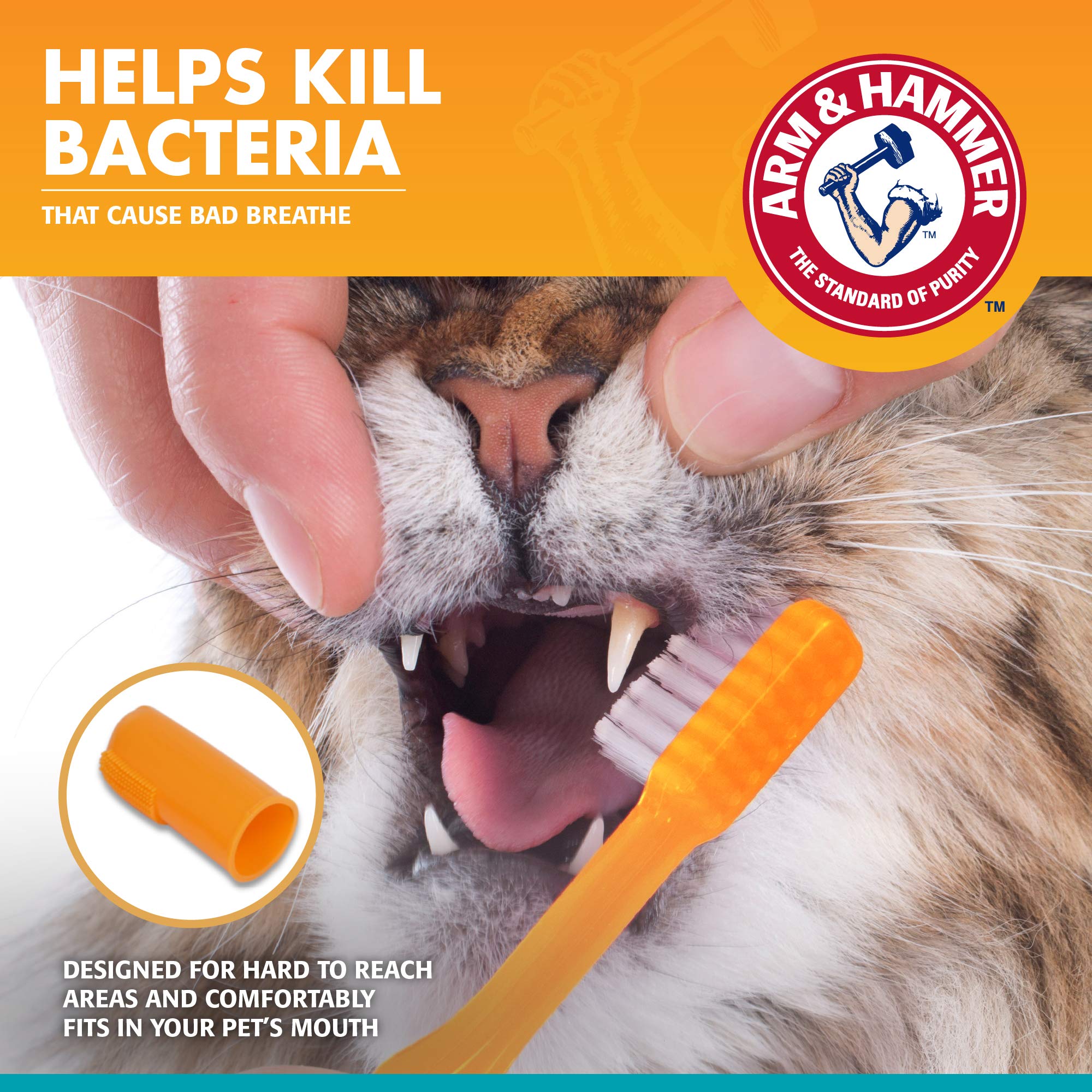 Arm & Hammer para gatos: cepillo de dedo para masajear encías y placa.
