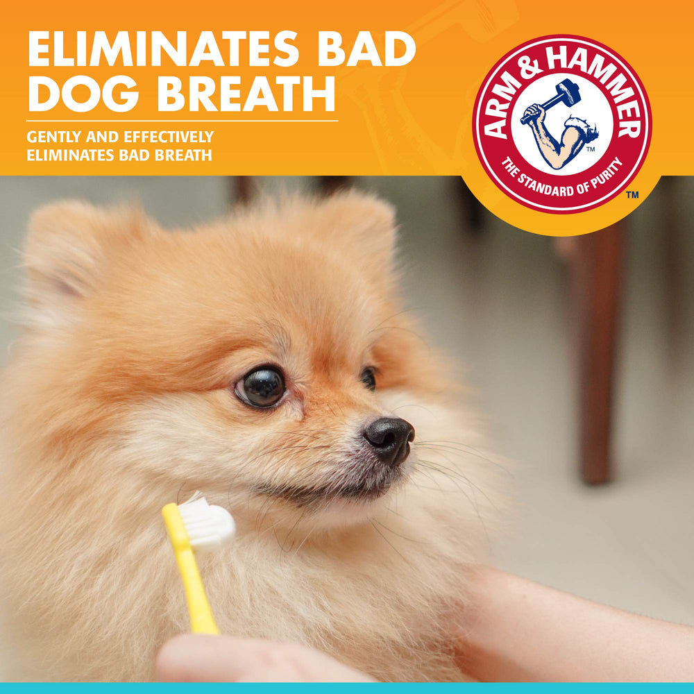 Arm & Hammer para mascotas: sabor vainilla jengibre, experiencia de cepillado agradable