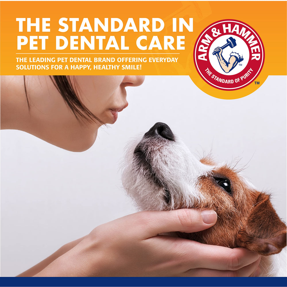 Arm & Hammer para Mascotas: pasta dental con sabor a menta para perros.
