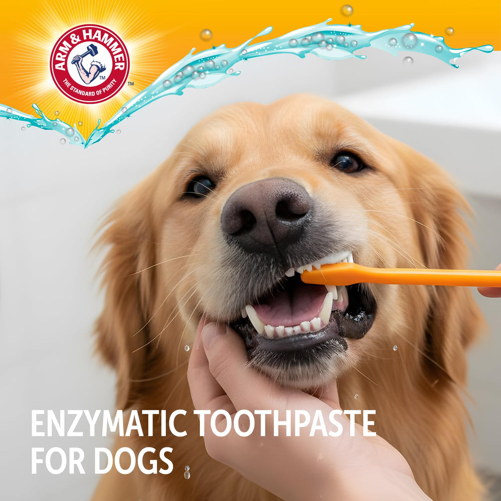 Pasta dental Arm & Hammer para perros, aliento más fresco tras el cepillado.