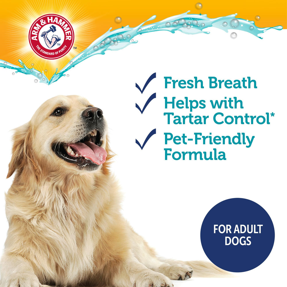 Envase de 6 oz Arm & Hammer, pasta dental para perros, seguridad diaria.