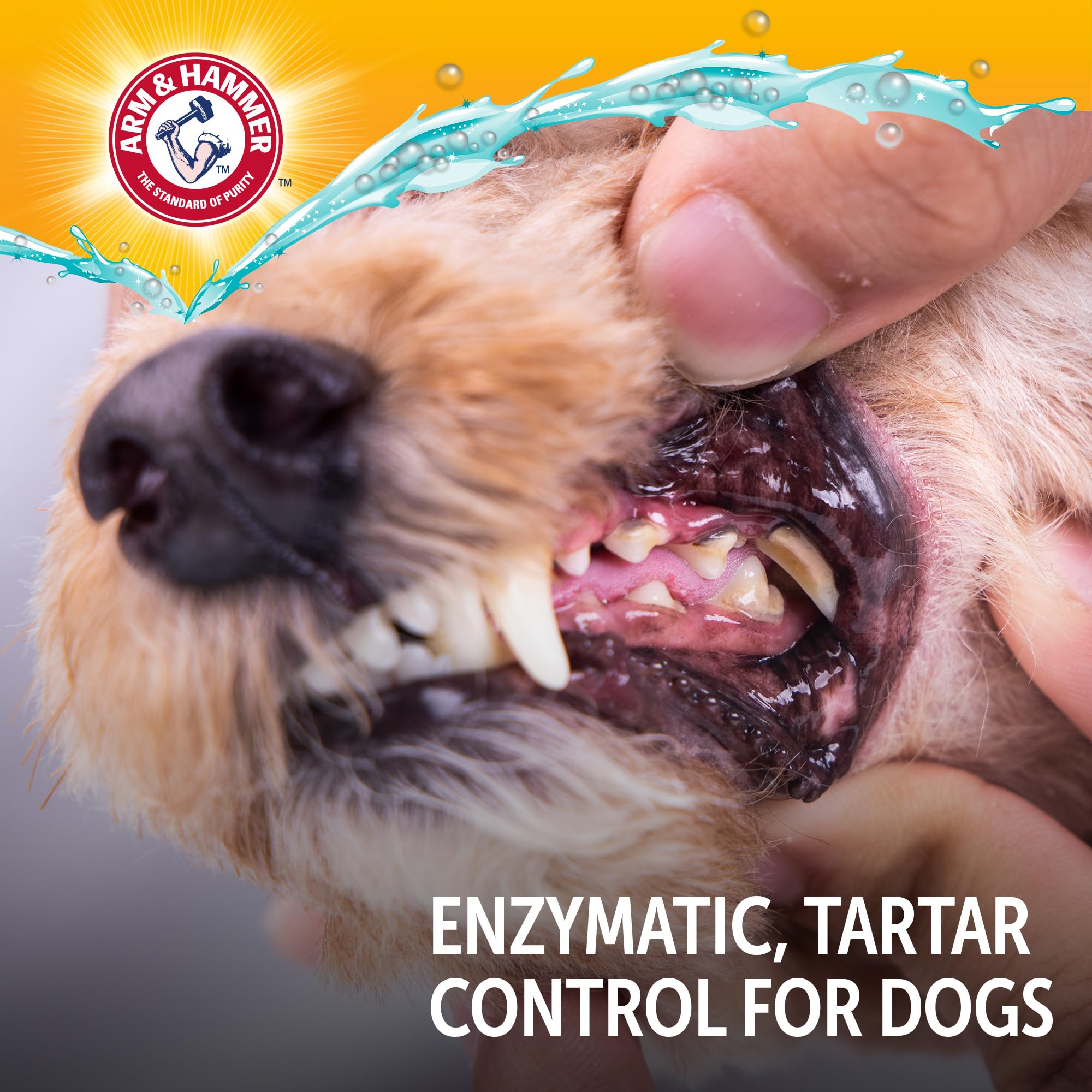 Pasta dental para perros Arm & Hammer sin fluoruro para uso diario.