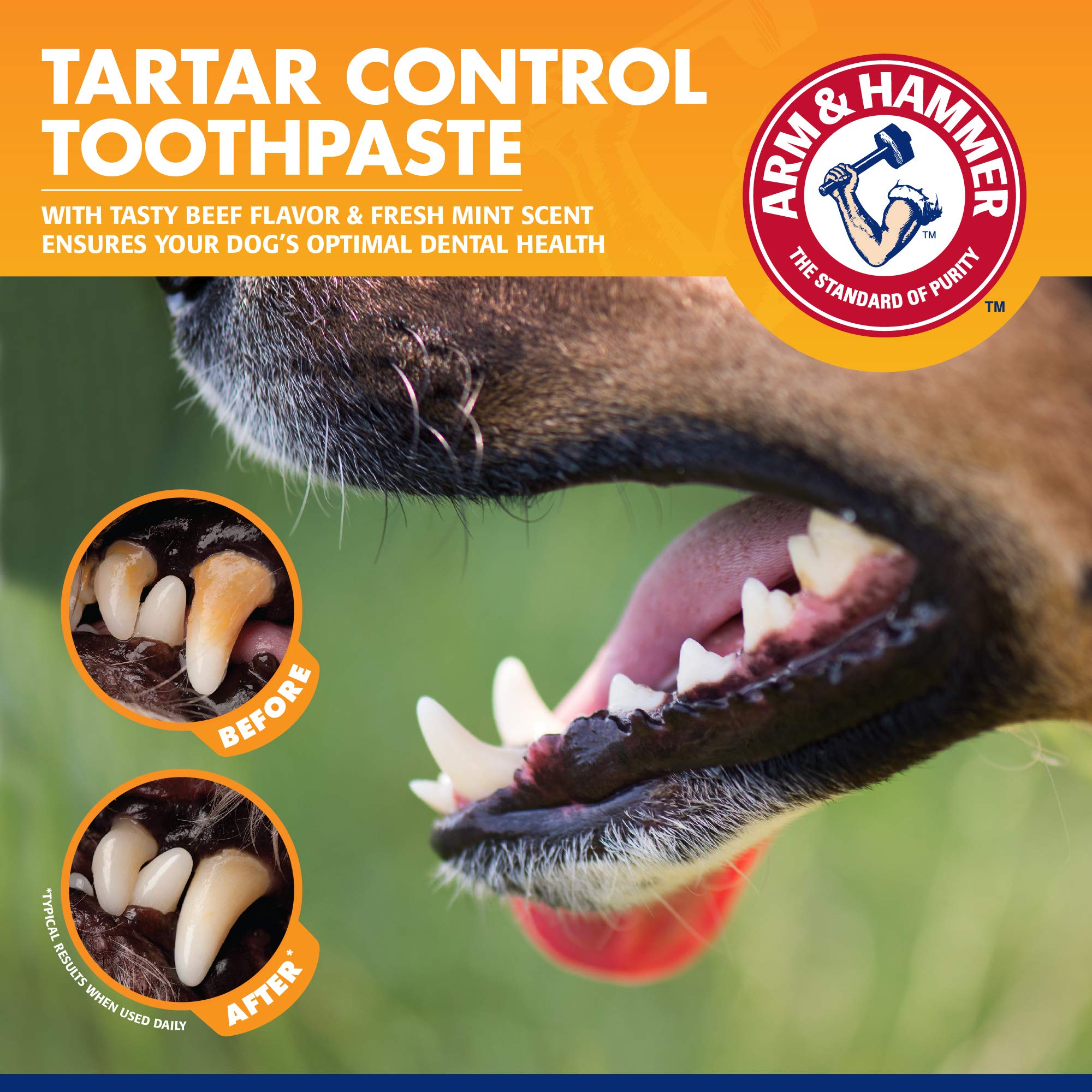Envase práctico de Arm & Hammer para mascotas, pasta dental para perros