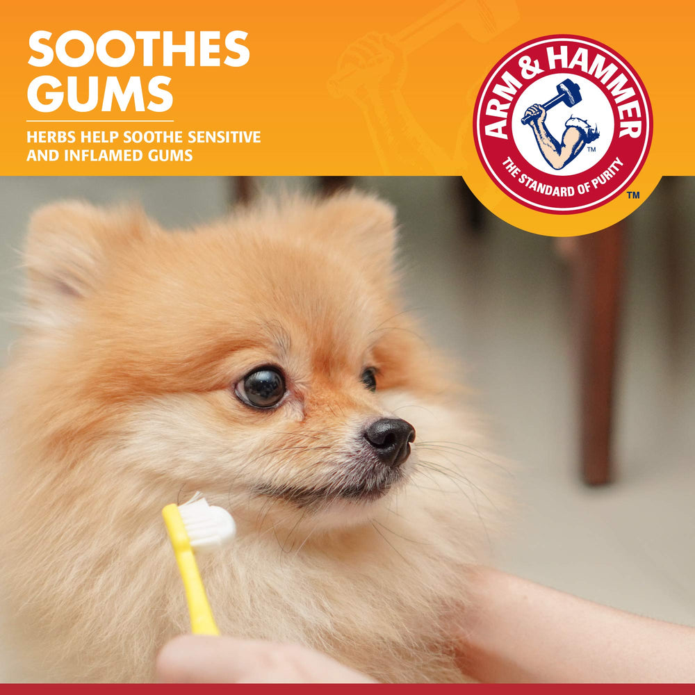 Arm & Hammer reducción de placa dental para perros.