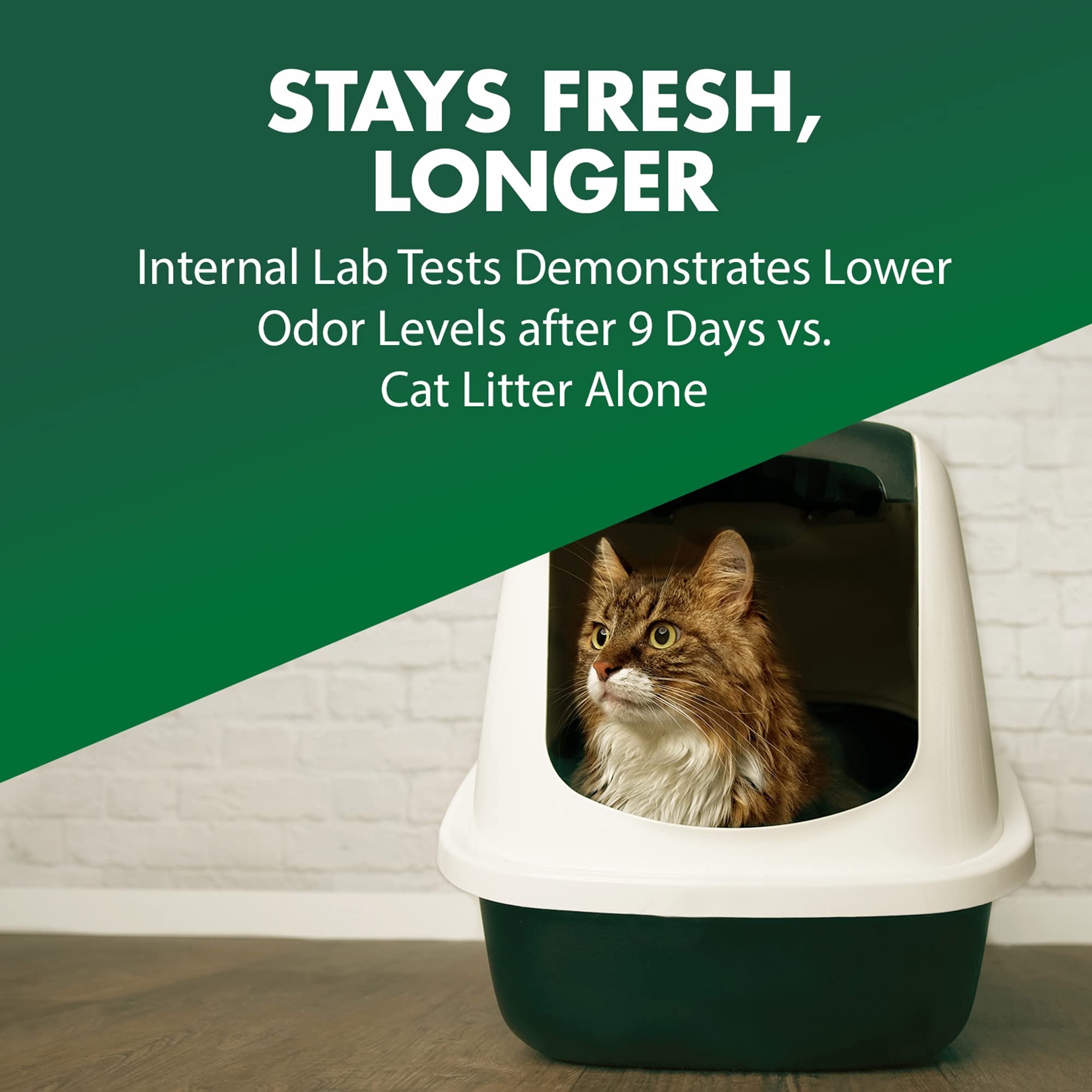 Arm & Hammer seguro para uso diario alrededor de gatos y personas