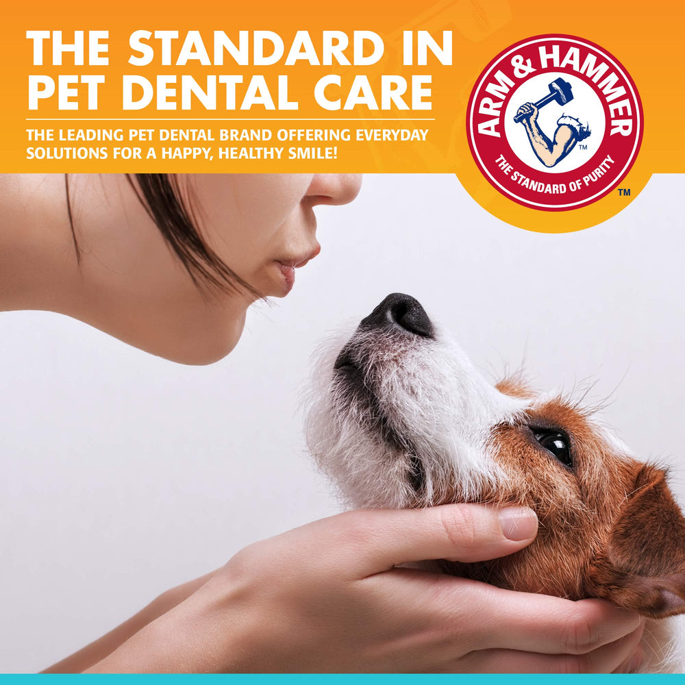 Tubo de pasta dental Arm & Hammer, opción de cuidado oral para el hogar.