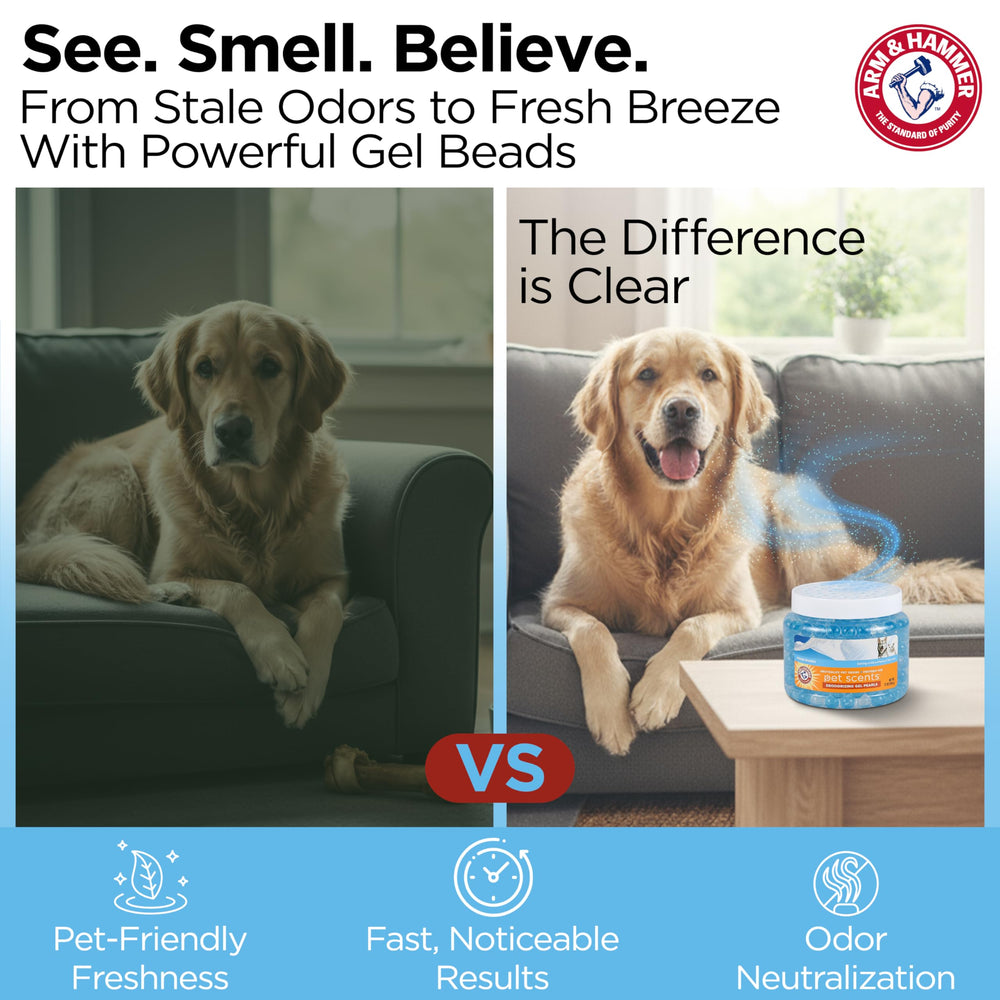 Arm & Hammer uso fácil en habitaciones de mascotas