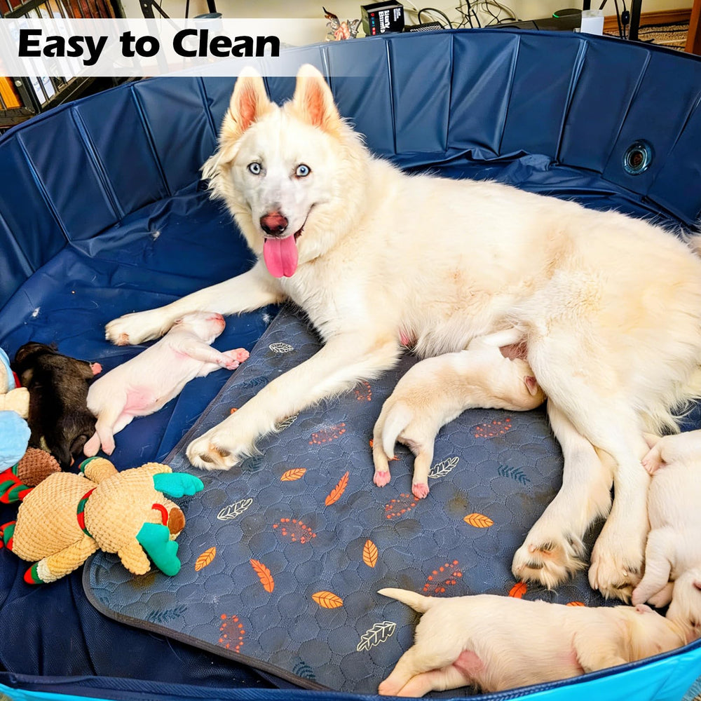 Piscina para cachorros 120x30 cm, fácil de limpiar y transportar