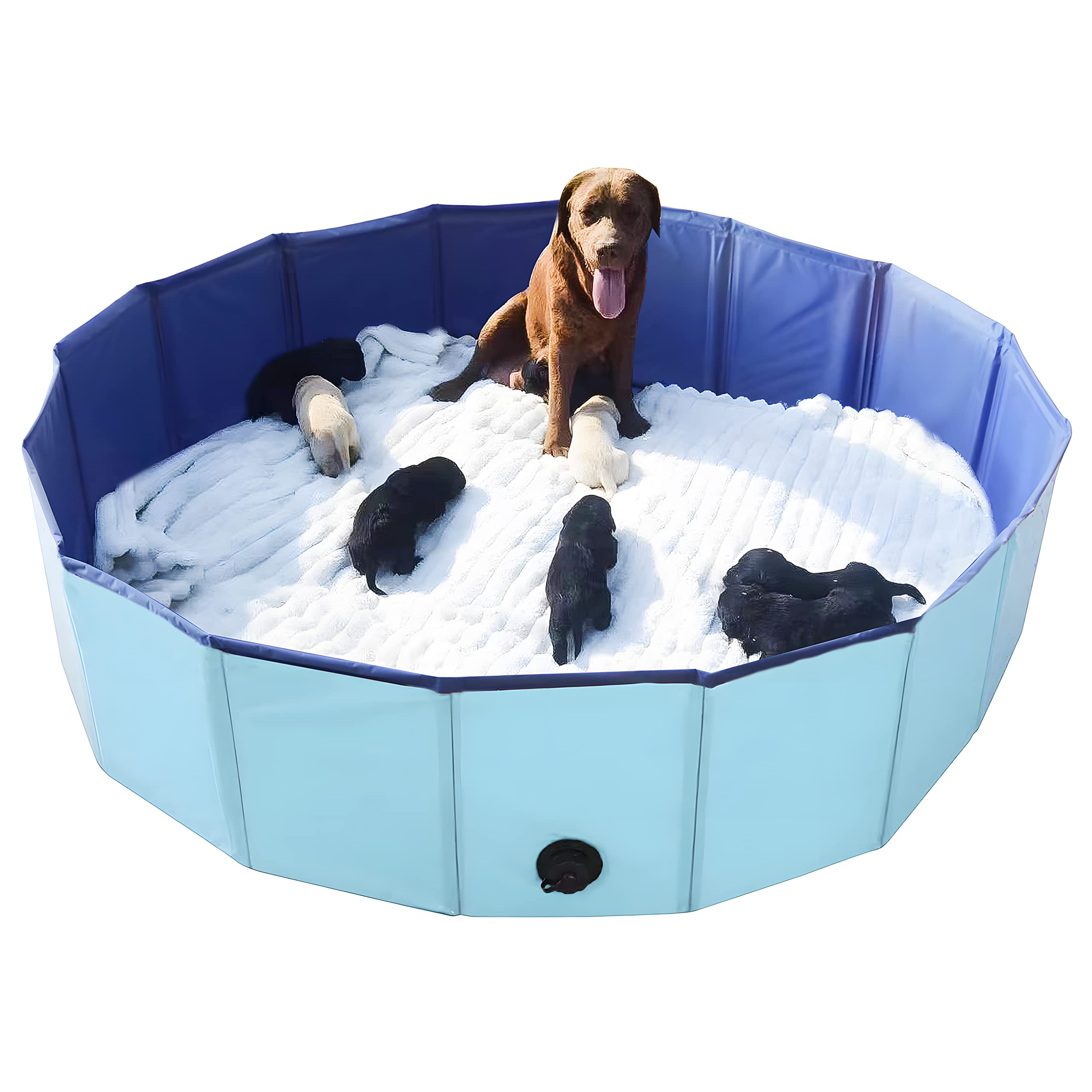 Artilife caja-whelping para perros 63-pulgadas azul, lista para partos.