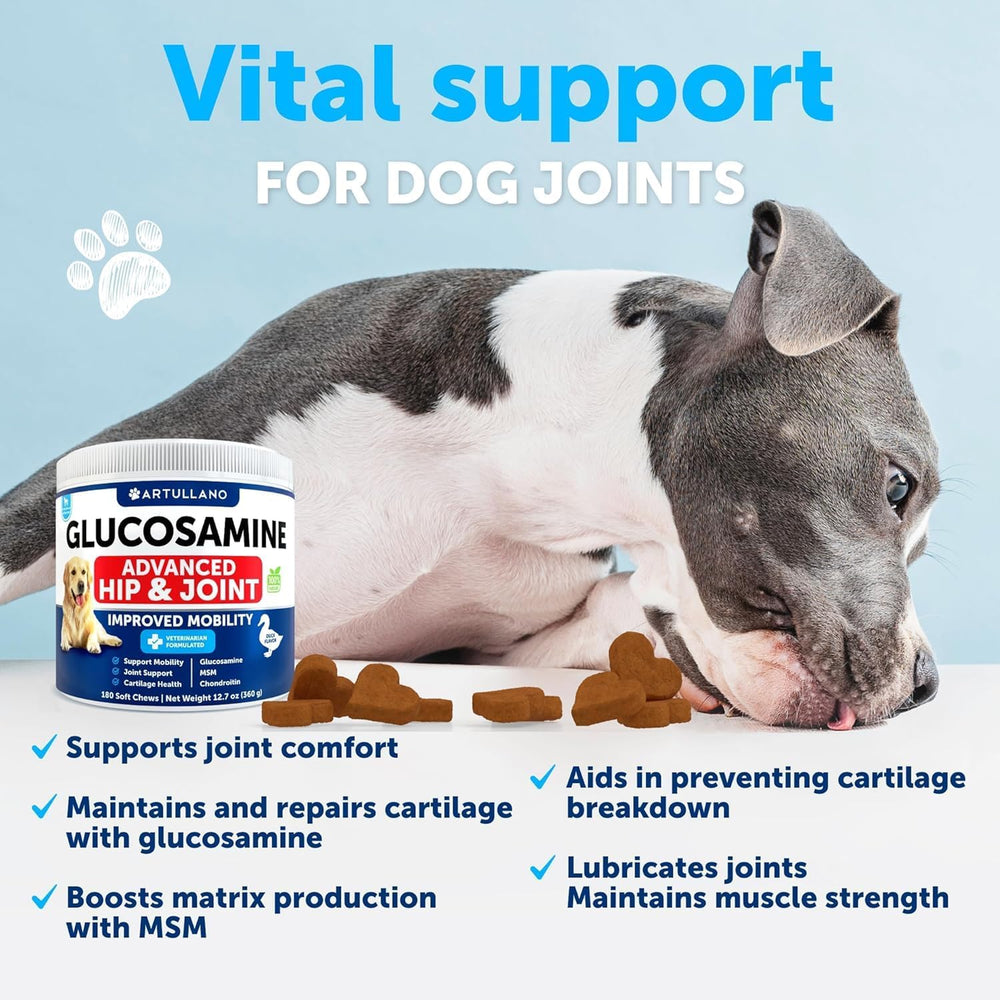 Artullano Glucosamina para perros: apoyo diario a la movilidad y flexibilidad