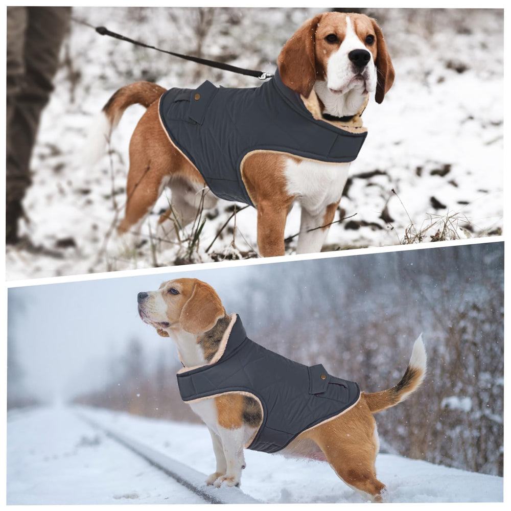 ASENKU abrigo-perro-impermeable-resistente-viento-xl protección frente al viento y la humedad