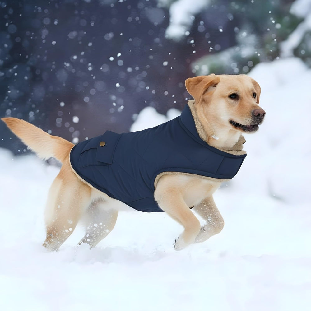 ASENKU abrigo-perro-uso-diario-exterior-xl ideal para paseos y aventuras diarias