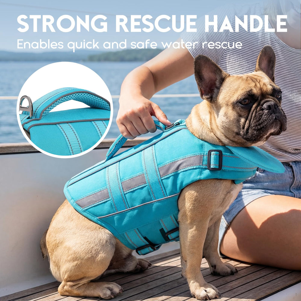 ASENKU chaleco para perro con anilla D para sujetar la correa con seguridad.