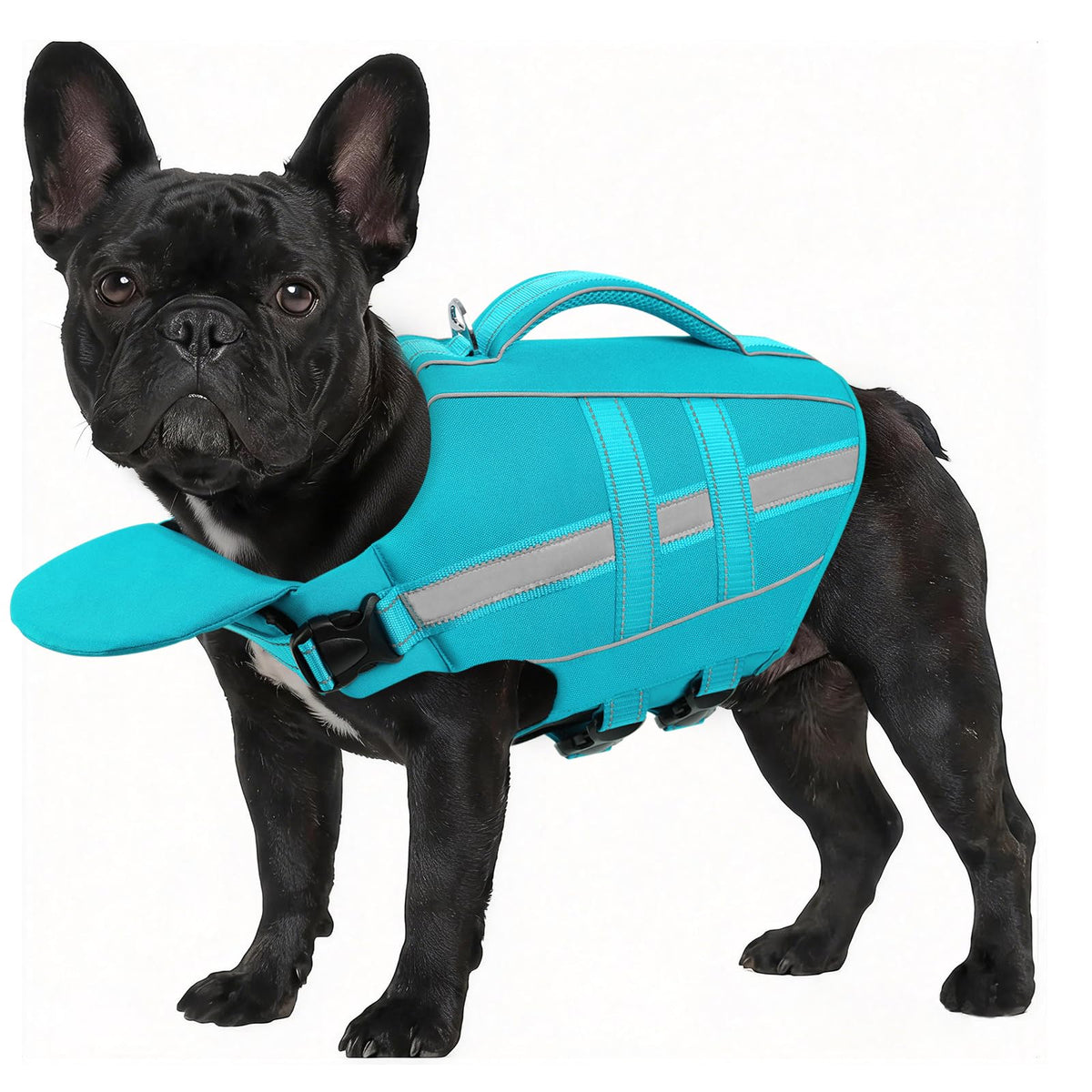 ASENKU salvavidas para perro con frontal removible; mayor flotación para nadar con seguridad.
