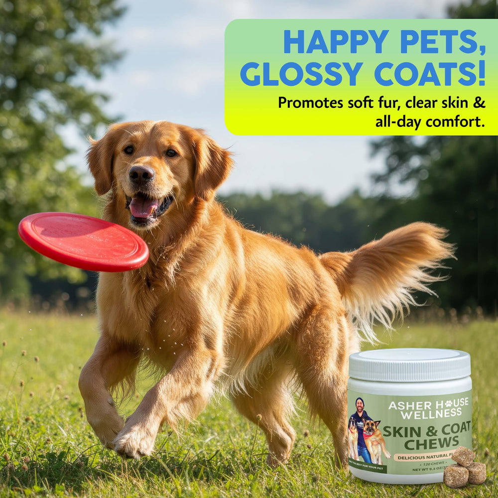 Asher House Wellness creado por Lee Asher para el bienestar canino.