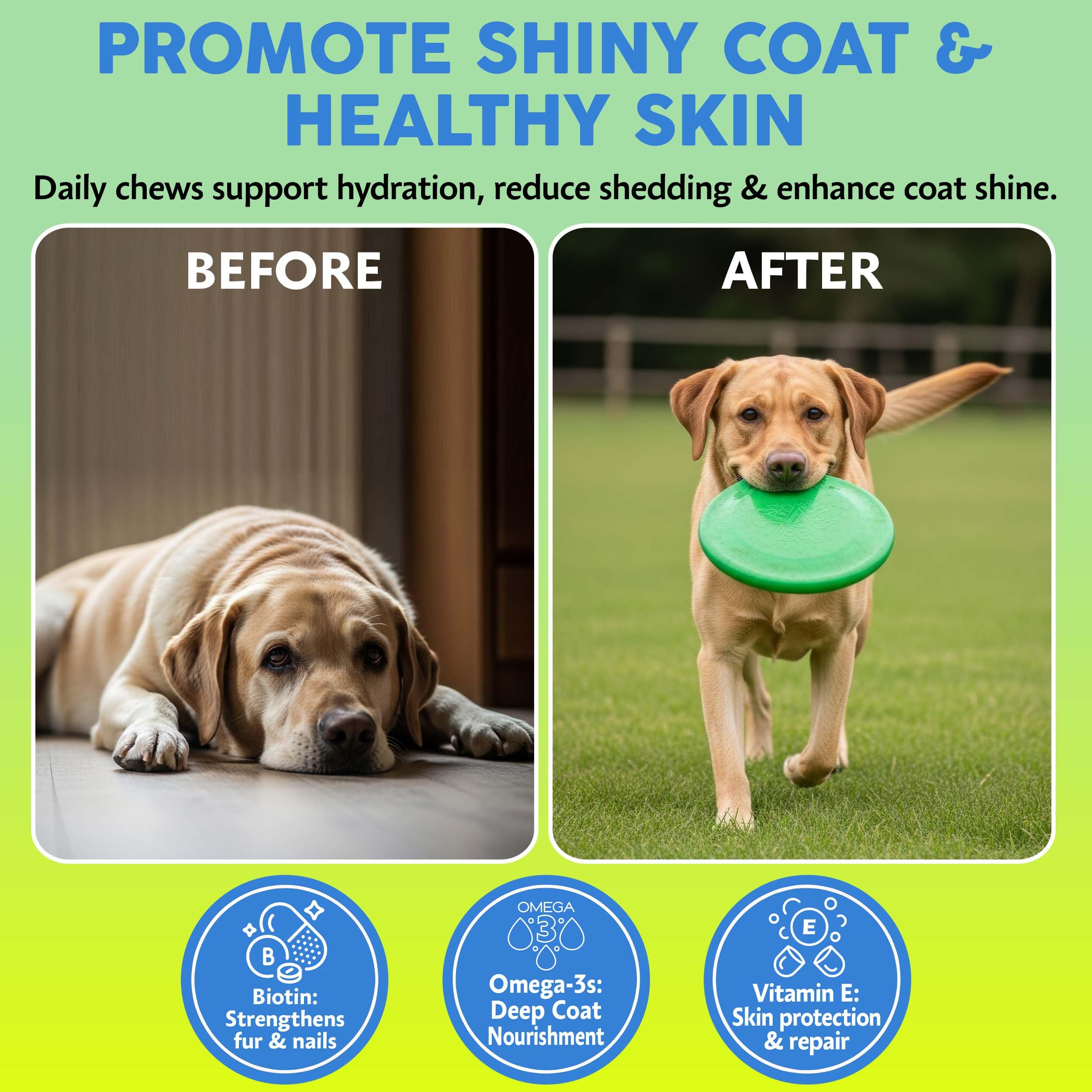 Asher House Wellness masticables sabor natural para perros, uso diario.