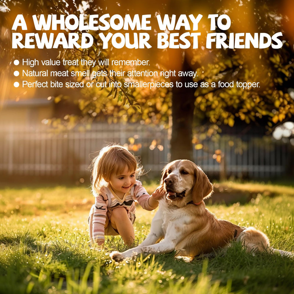 ASMPET snack natural sin trigo ni granos, para perros sensibles