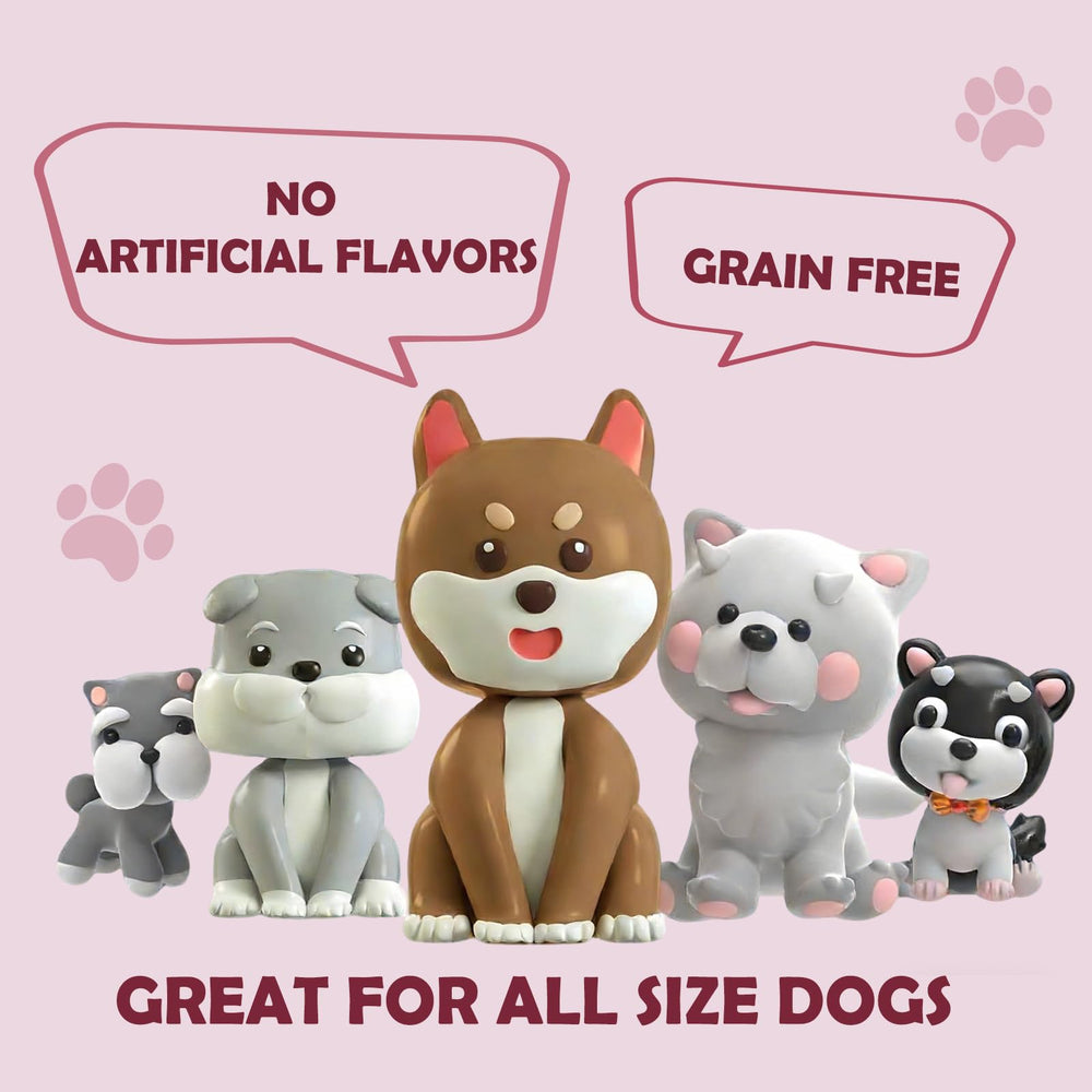 ASMPET Uso seguro para exteriores, ideal para paseos y juego supervisado