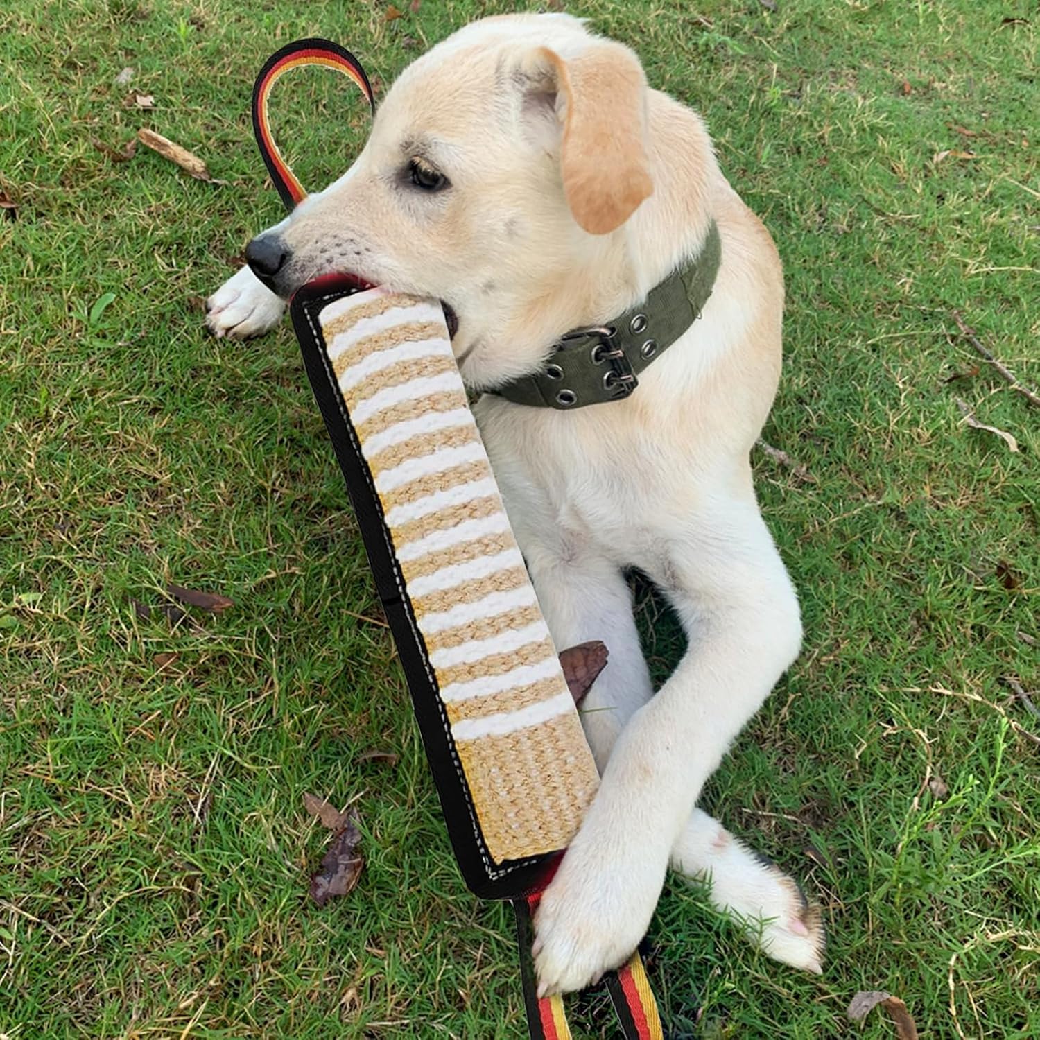 ASOCEA Juguete de Tirón para perros medianos a grandes, listo para juego interactivo.