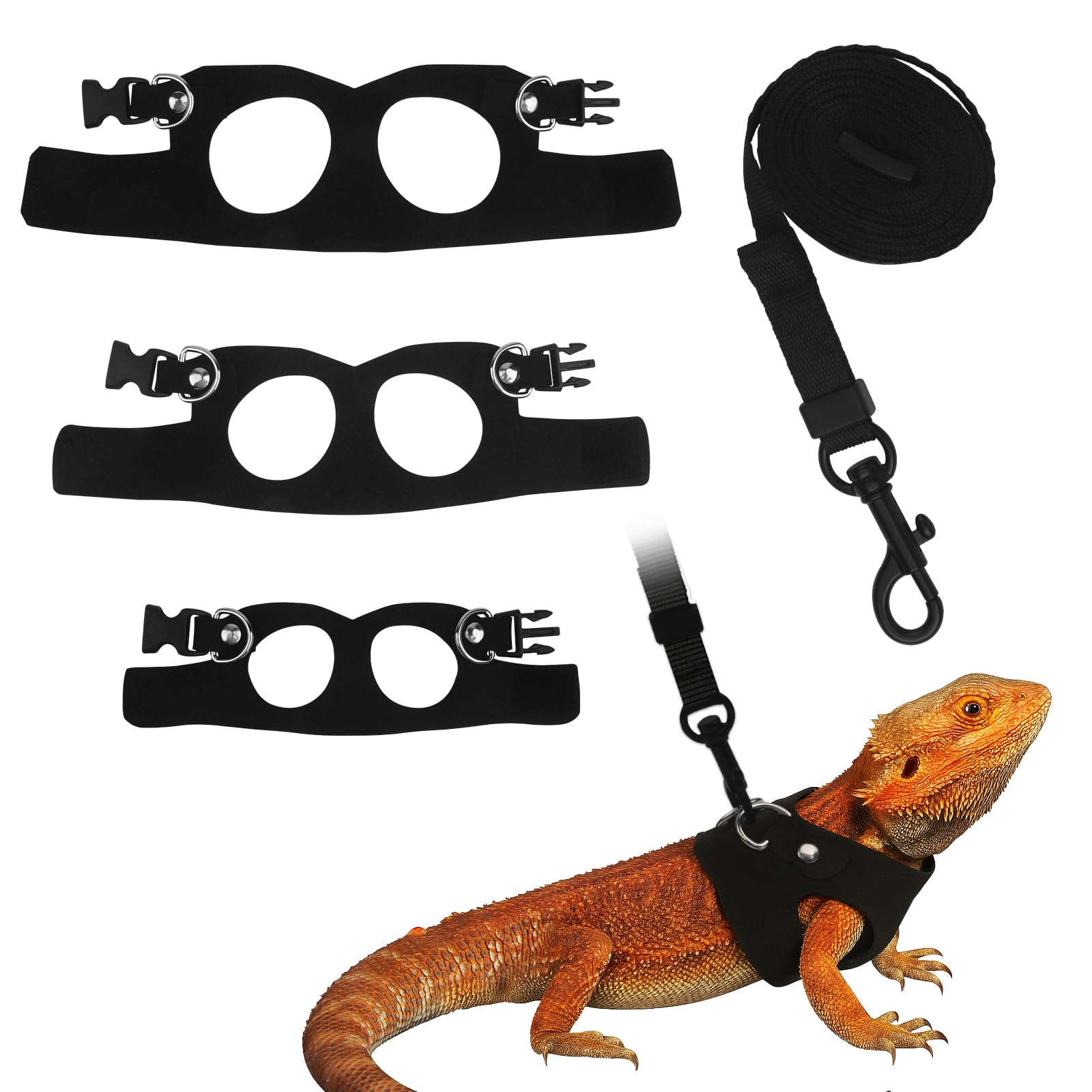 Uso exterior con Asofelk para dragon barbudo, manejo sencillo.