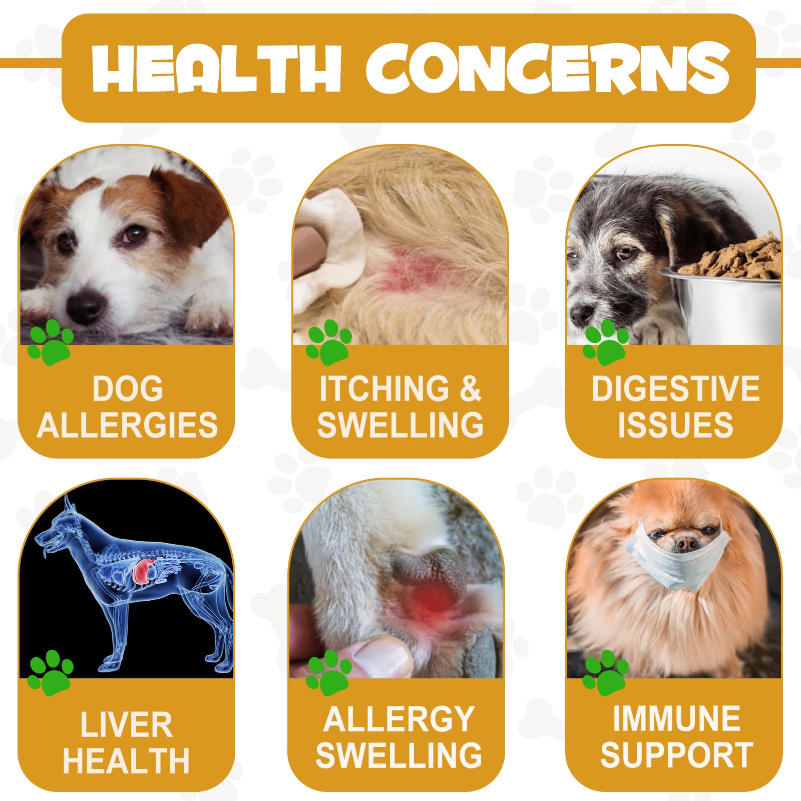 asusxcli Piel sensible y pelaje nutrido para perros.