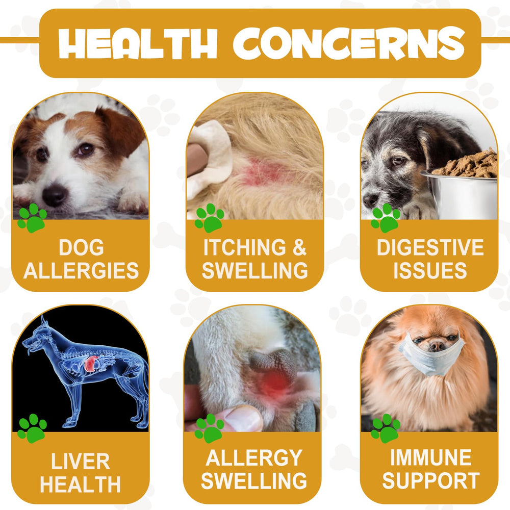 asusxcli Piel sensible y pelaje nutrido para perros.