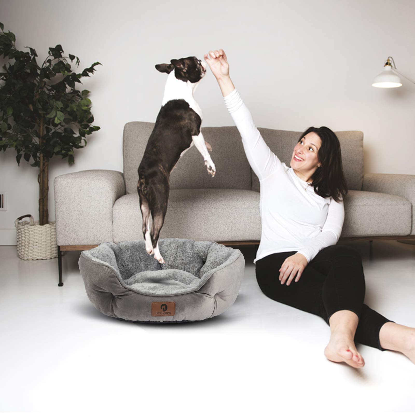 Asvin cama para perro media, talla 25 pulgadas adecuada para mascotas.