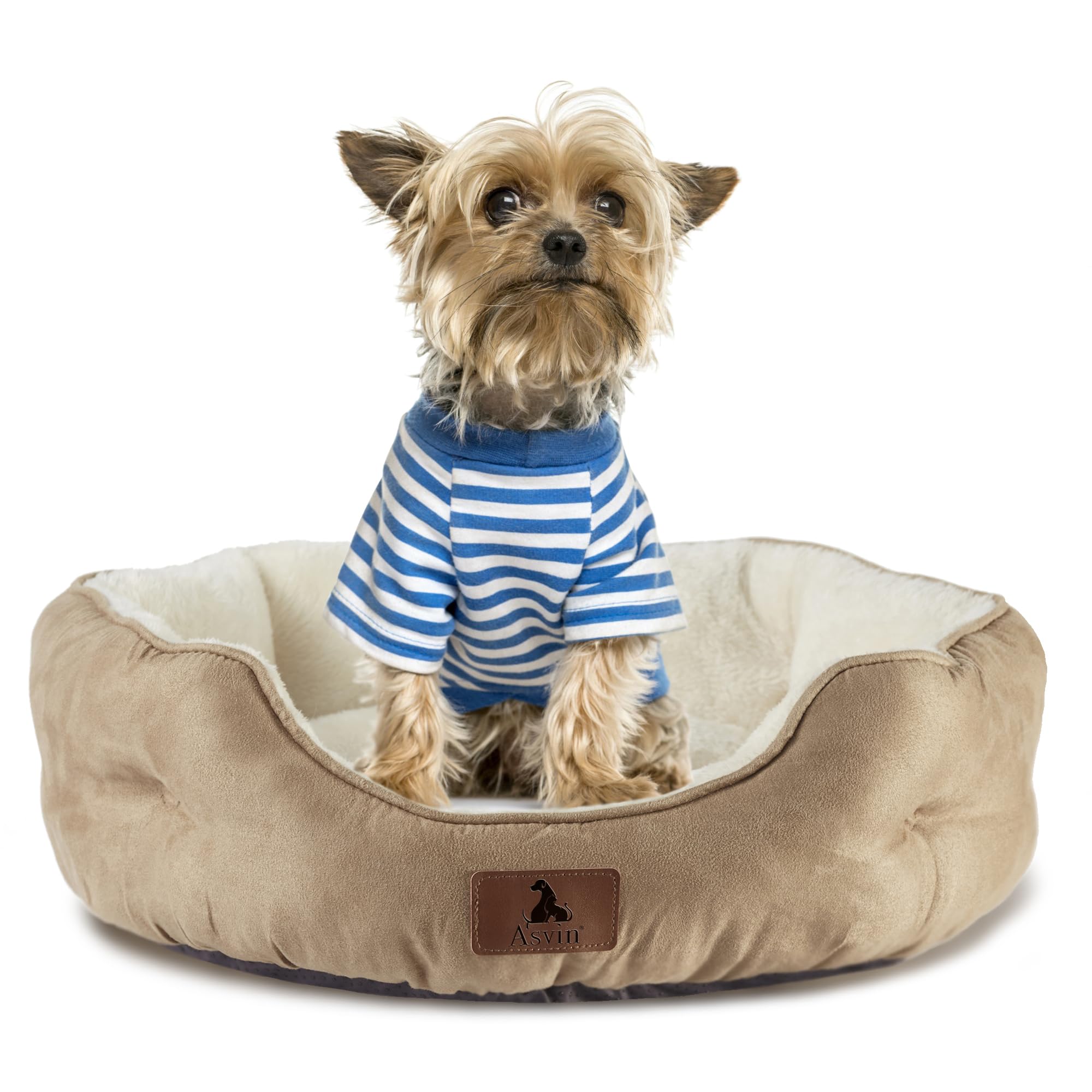Asvin cama para perro pequeño, vista lateral, seguridad y comodidad para descansar.