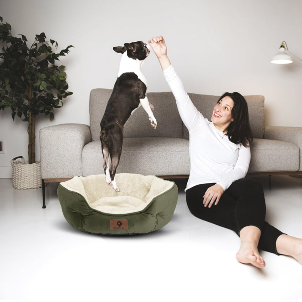 Asvin cama verde de 20 pulgadas para perros y gatos pequeños