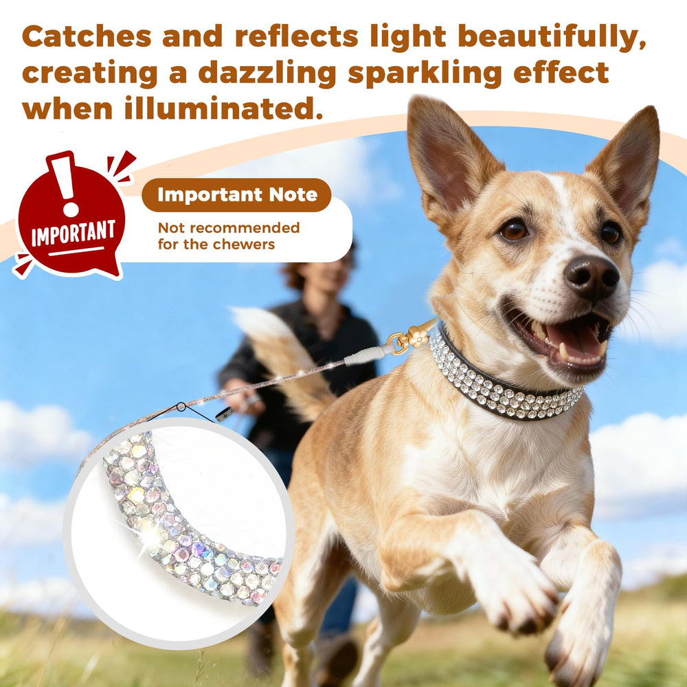 Accesorio Atiansen para perro estilo diario transforma caminatas con clase.