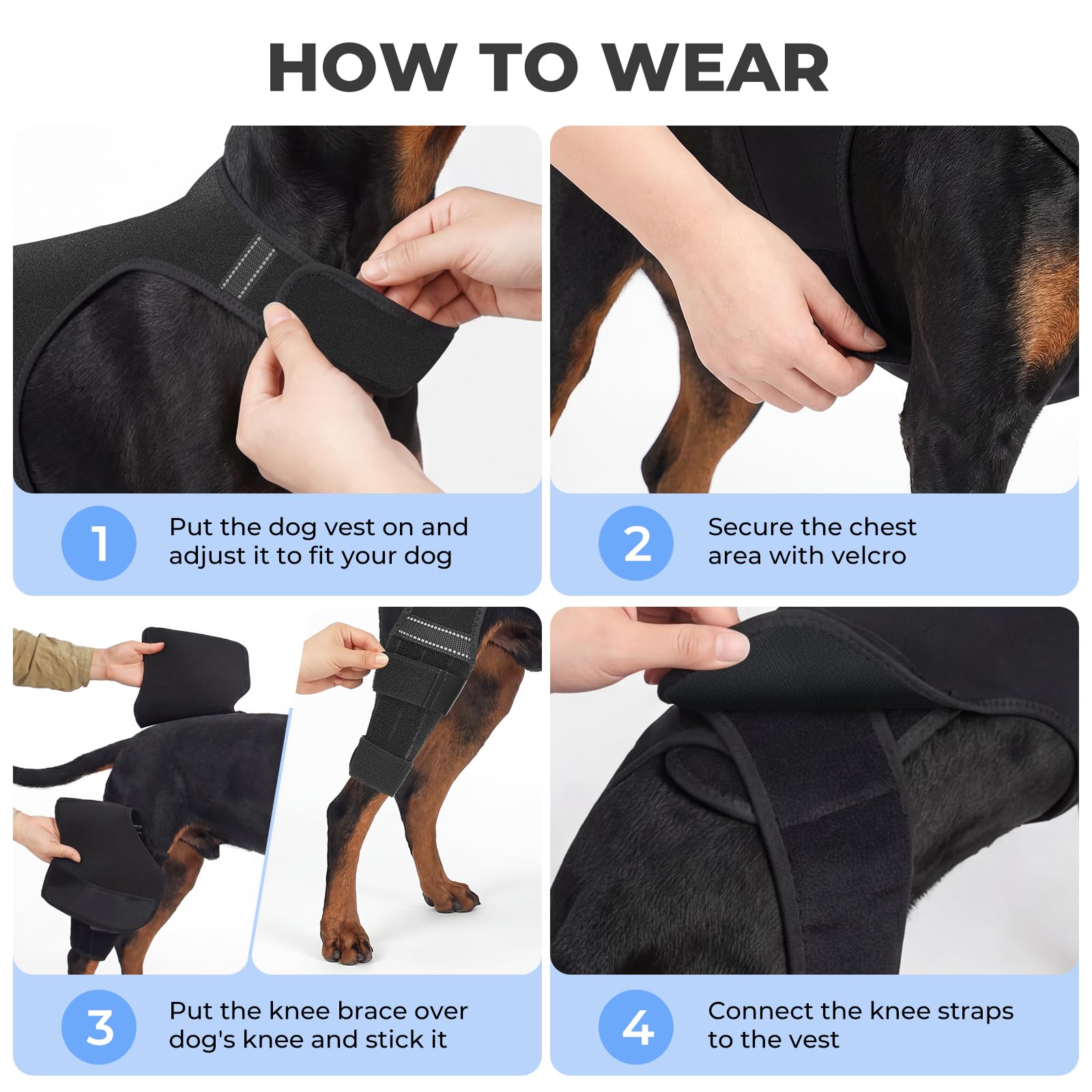 Atiansen movimiento-controlado para perros activos durante juego y paseo.