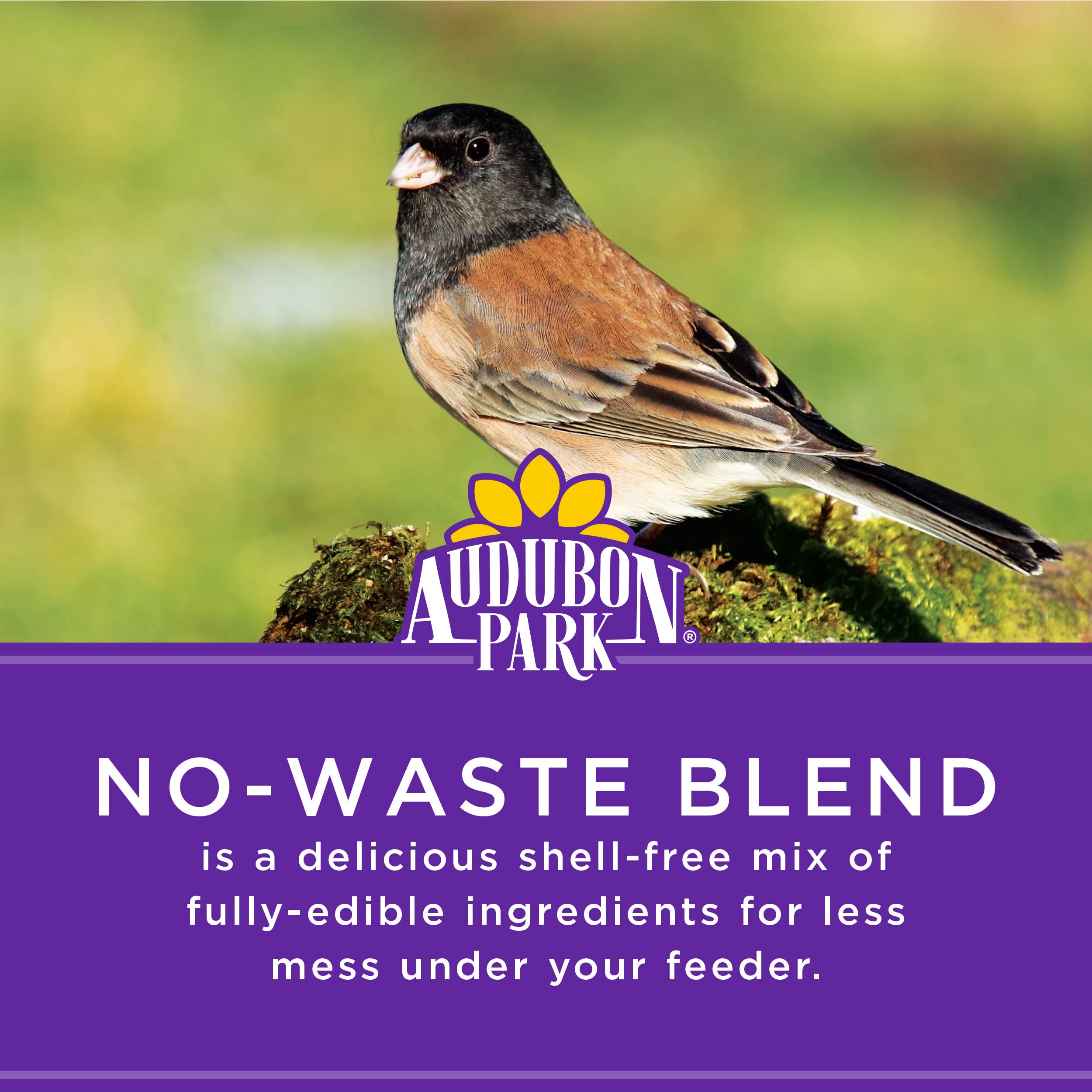 Audubon Park Mezcla de semillas y nueces premium para aves variadas.