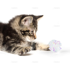 Bolas crinkle brillantes de AUEAR para gatos, sonido llamativo durante el juego.