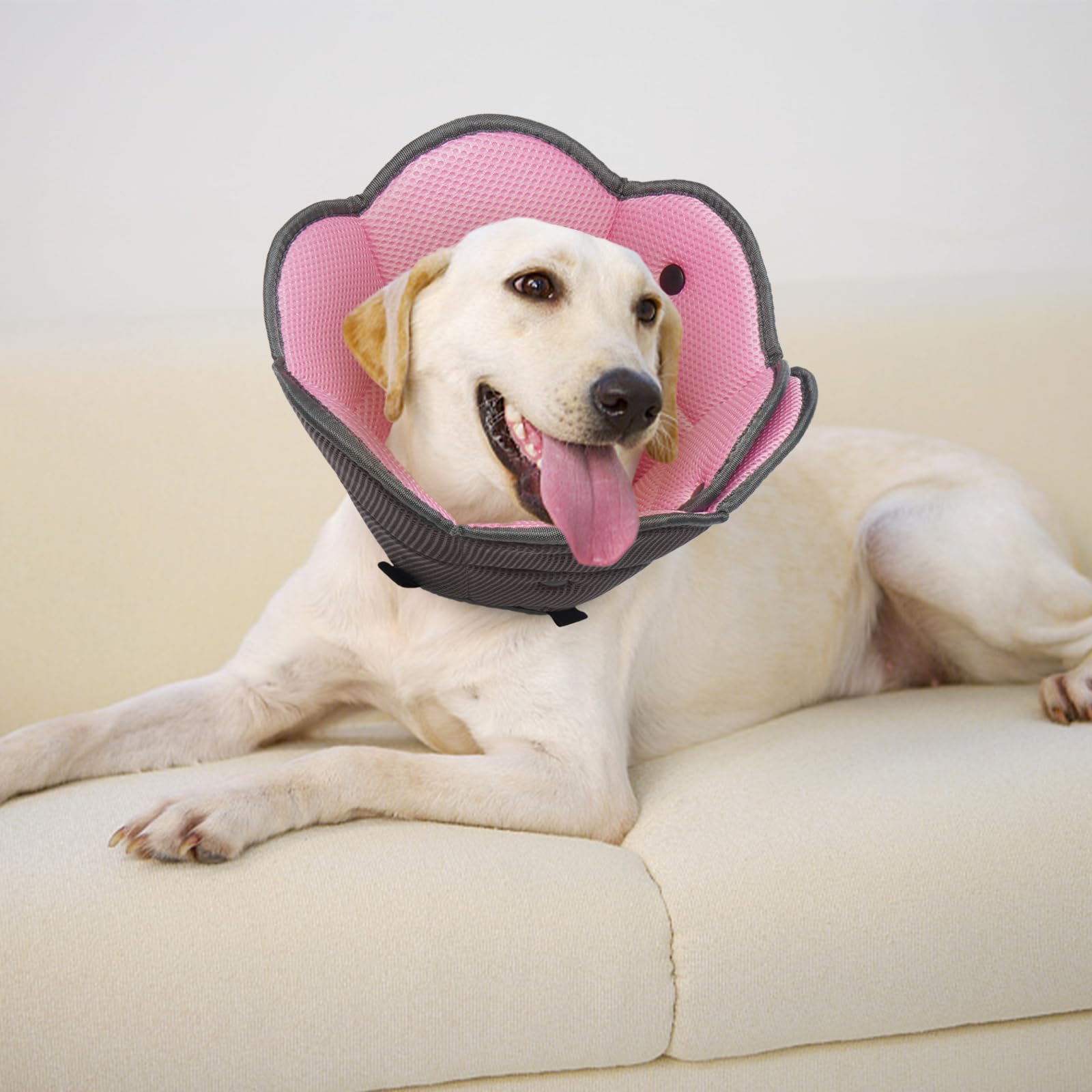 Ajuste en varios tamaños para perros de todas las razas