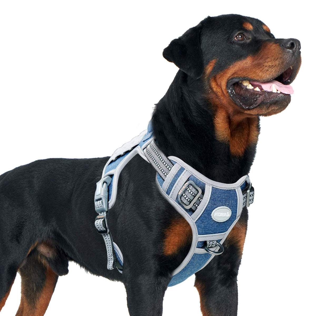 Arnés AUROTH para perro en denim azul con ajuste fácil para mayor comodidad.