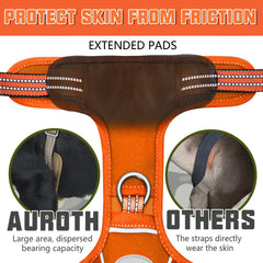 Clip trasero AUROTH para paseos casuales con seguridad.