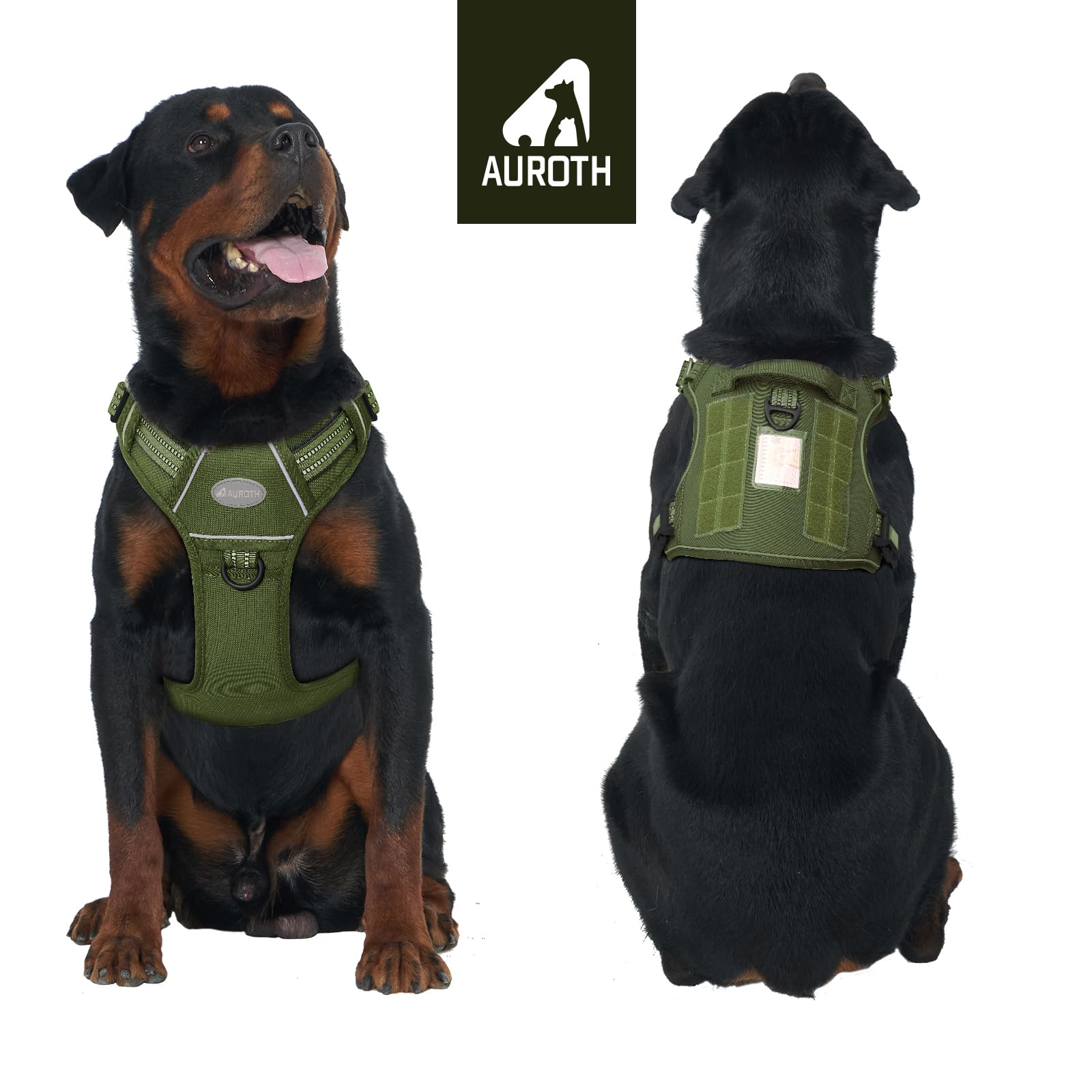 Arnés AUROTH resistente, diseñado para aventuras al aire libre.