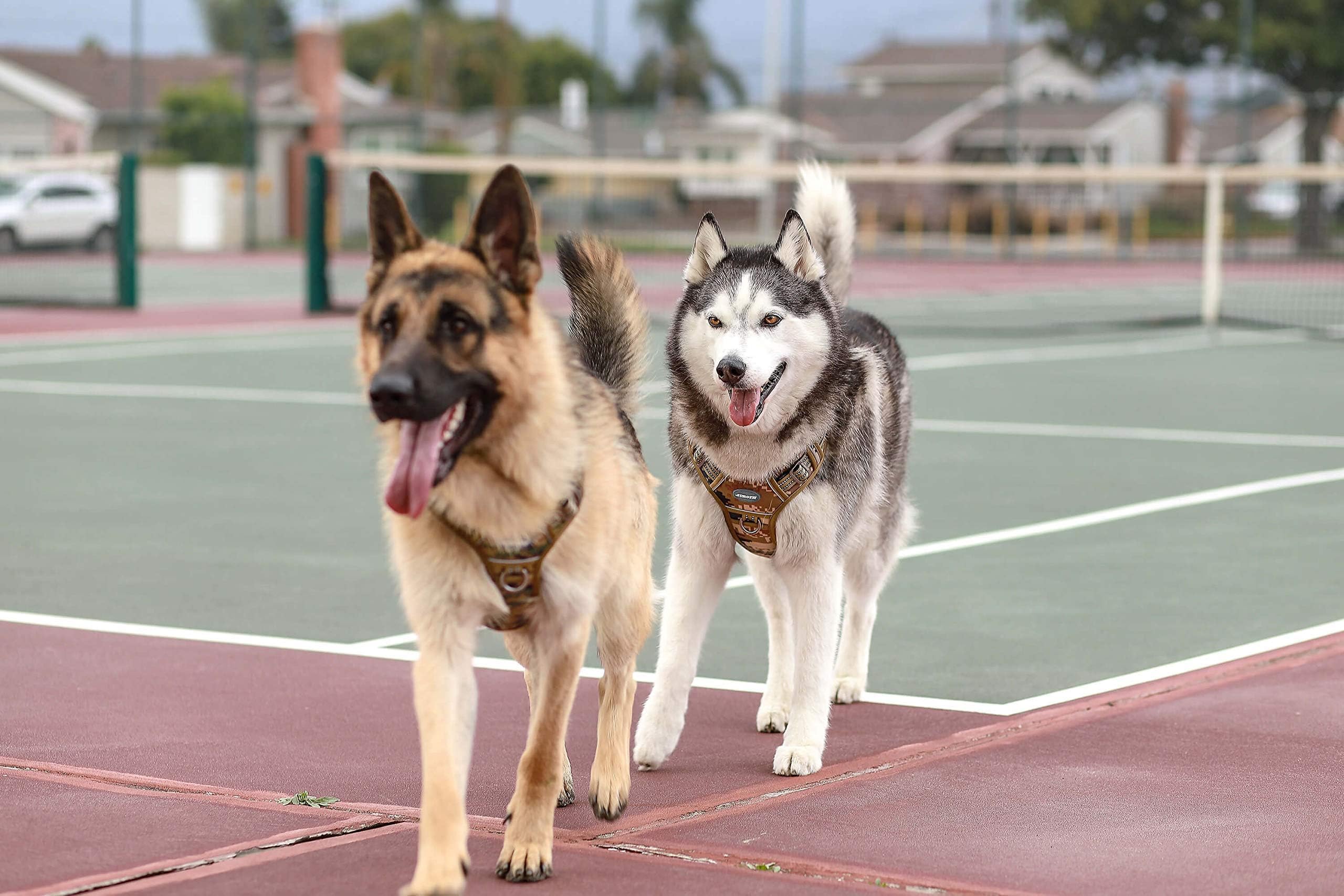 AUROTH arnés perro grande tallas disponibles y ajuste cómodo