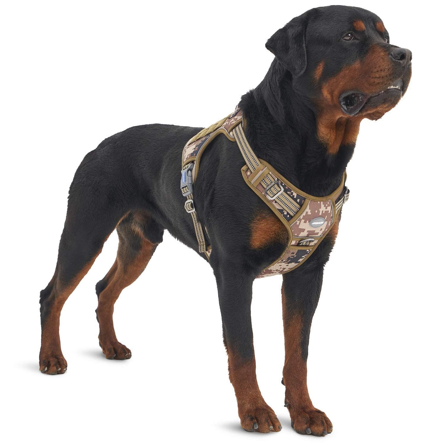 AUROTH arnés táctico para perro frente: control óptimo y movimiento libre.