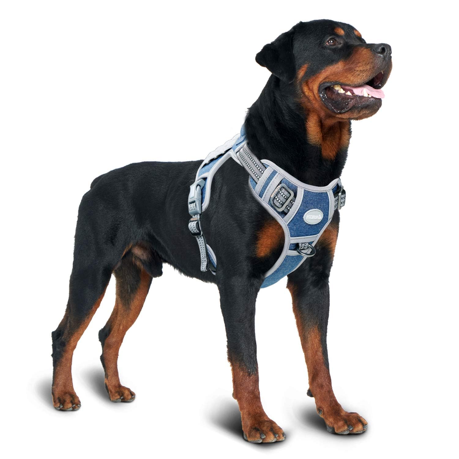 AUROTH arnés perro ventilación malla aire para días cálidos.
